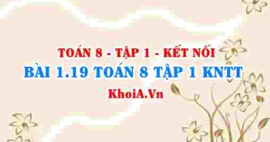 Bài 1.19 SGK Toán 8 tập 1 Kết nối tri thức